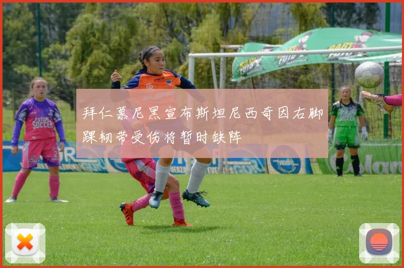 拜仁慕尼黑宣布斯坦尼西奇因右脚踝韧带受伤将暂时缺阵