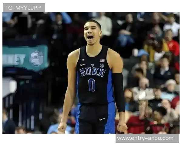 小莫点评绿军复苏塔图姆回归助力球队争冠机会增大